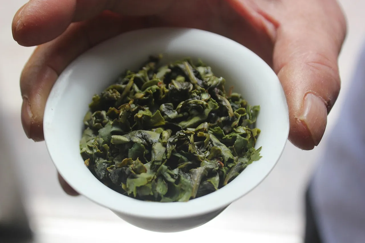 Eine Hand hält eine kleine Schale mit gerolltem grünem Tieguanyin-Oolong